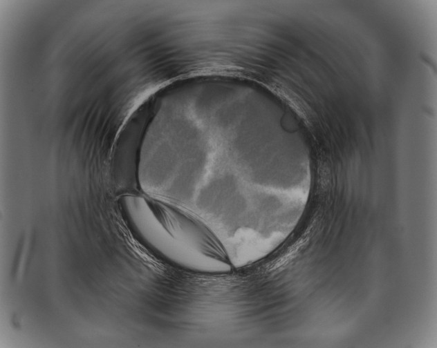 X0000097780830200804041212