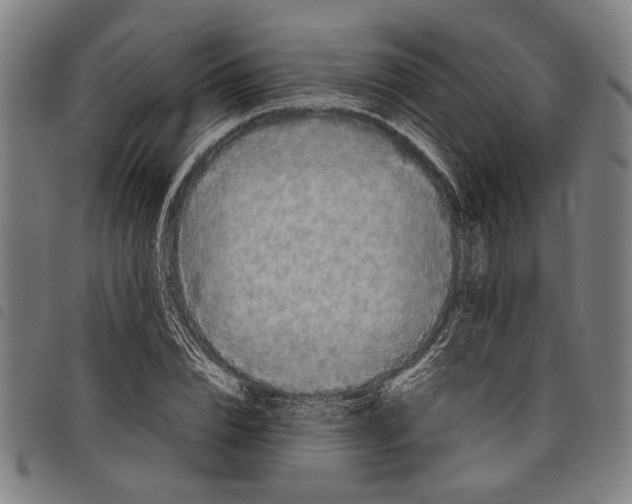 X0000097780832200804041212