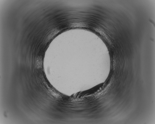 X0000097780833200804041212