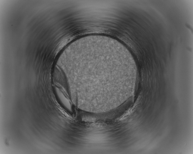 X0000097780834200804041212