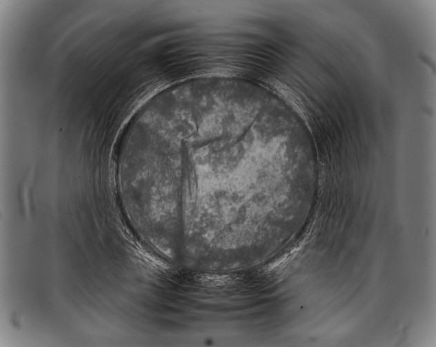 X0000097780835200804041212