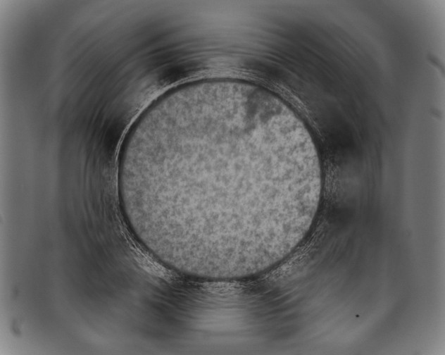 X0000097780836200804041212