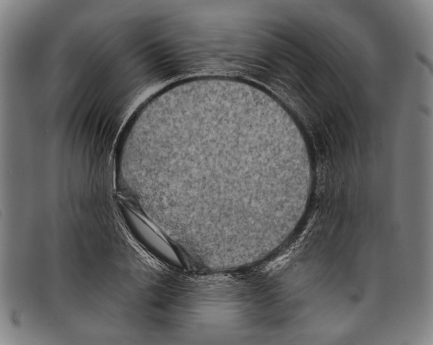 X0000097780838200804041212