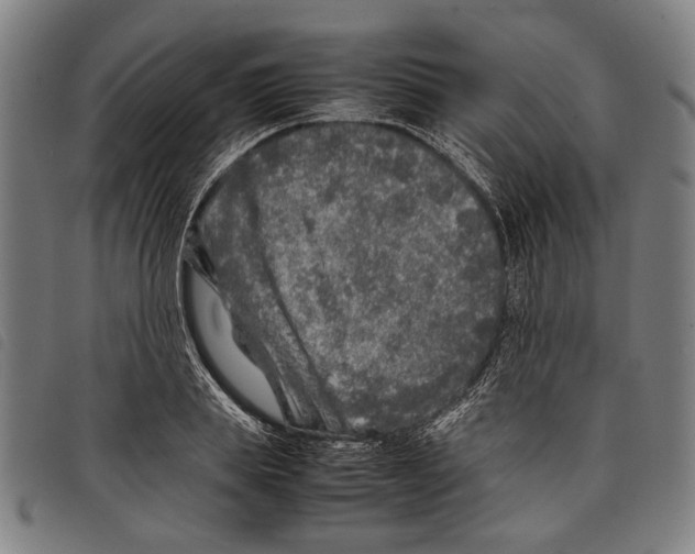 X0000097780839200804041212