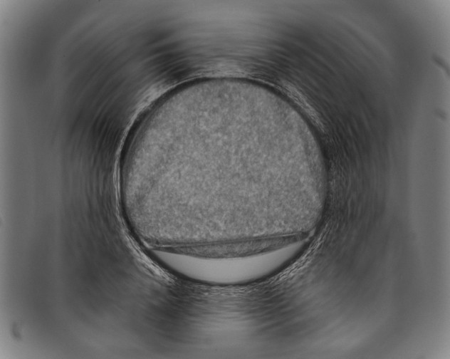 X0000097780840200804041212