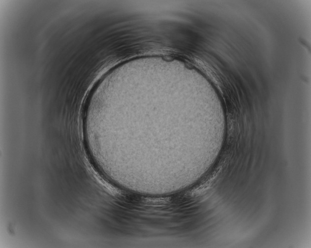 X0000097780843200804041212