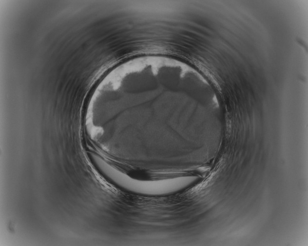 X0000097780845200804041212