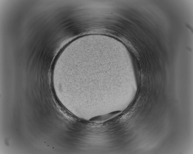 X0000097780846200804041212