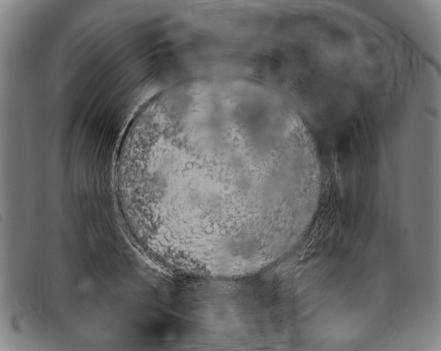 X0000097780848200804041212