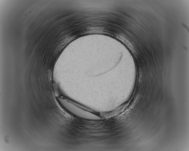 X0000097780849200804041212