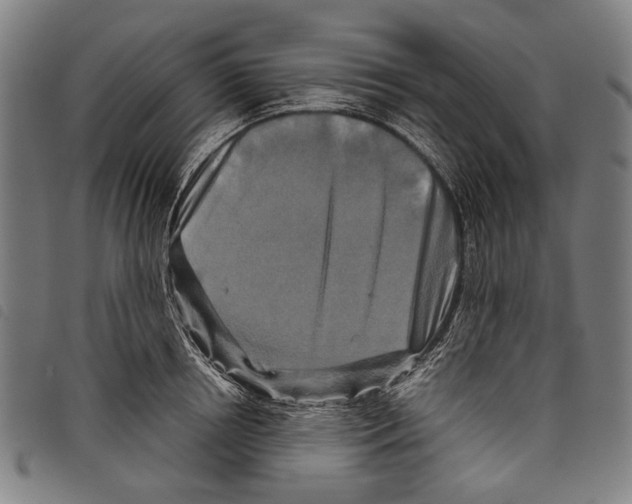 X0000097780850200804041212