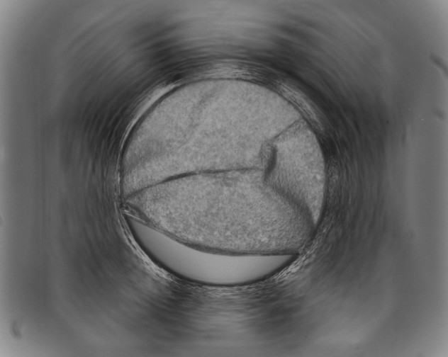 X0000097780852200804041212