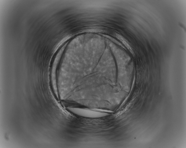 X0000097780853200804041212