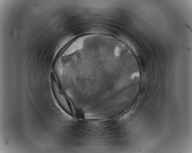 X0000097780855200804041212