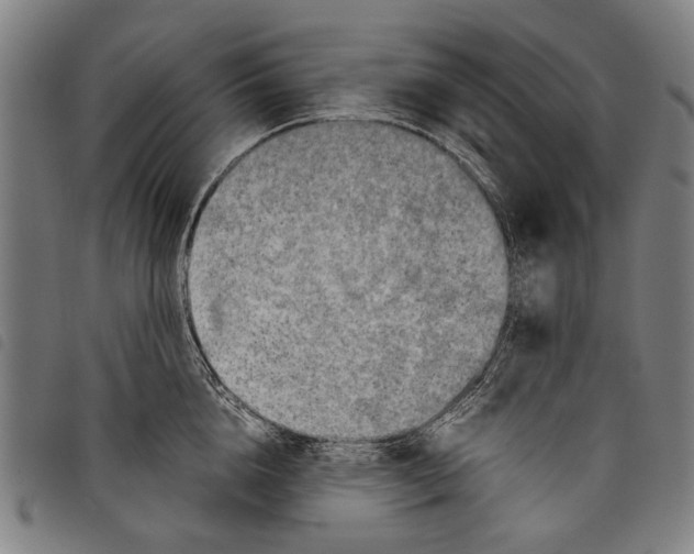 X0000097780856200804041212