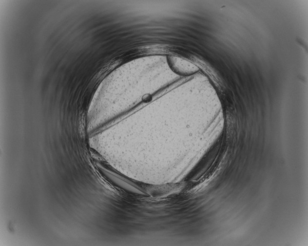 X0000097780857200804041212