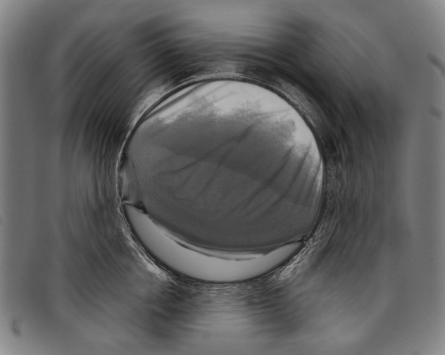 X0000097780858200804041212