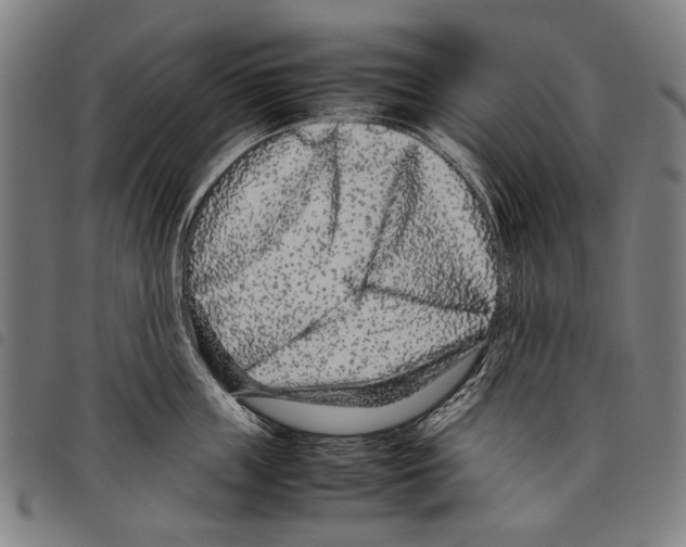 X0000097780859200804041212