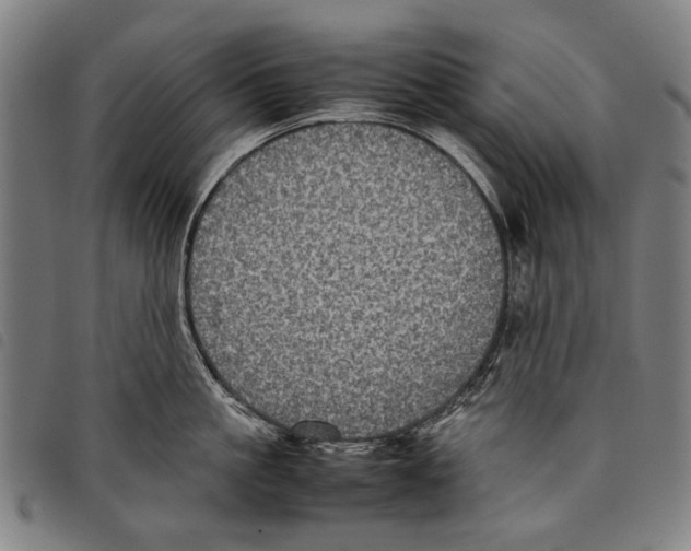 X0000097780861200804041212