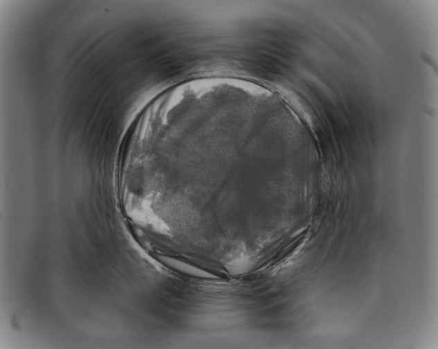 X0000097780863200804041212