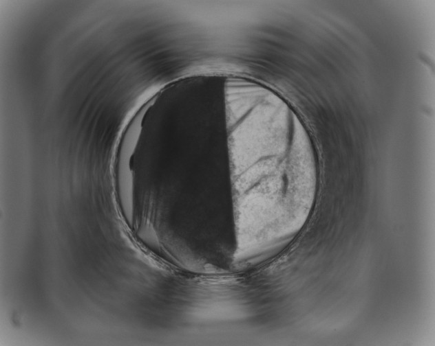 X0000097780864200804041212