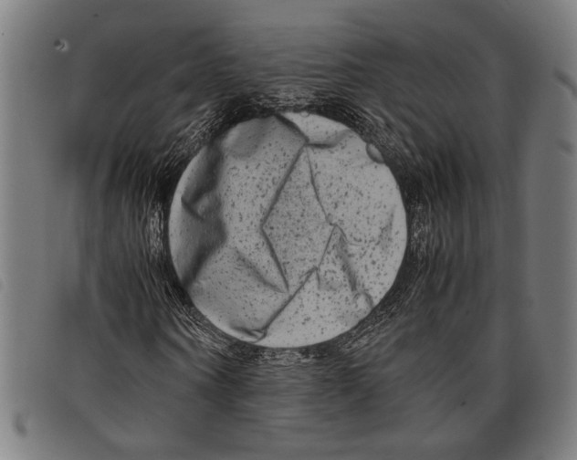 X0000097780866200804041212