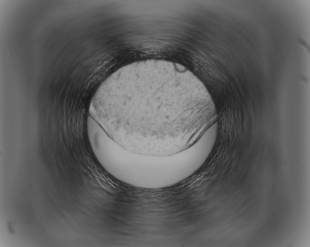 X0000097780868200804041212