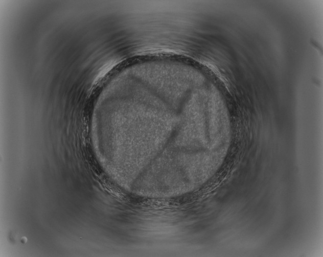 X0000097780871200804041212