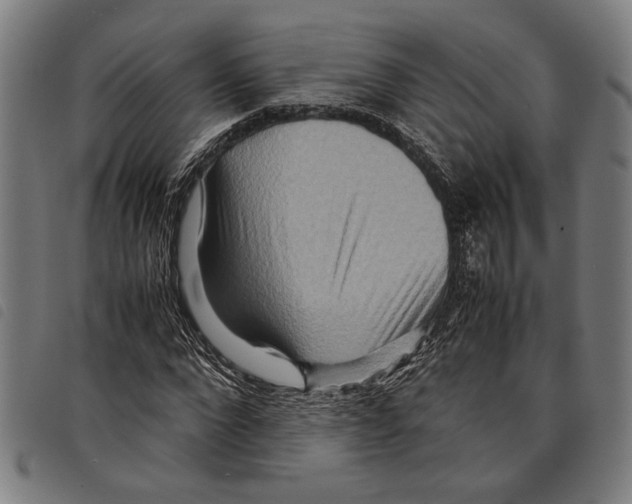 X0000097780872200804041212