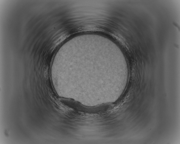 X0000097780873200804041212