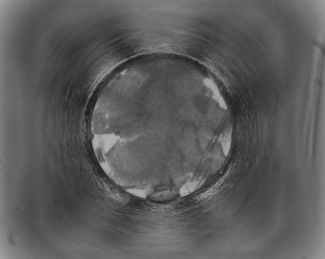 X0000097780879200804041212