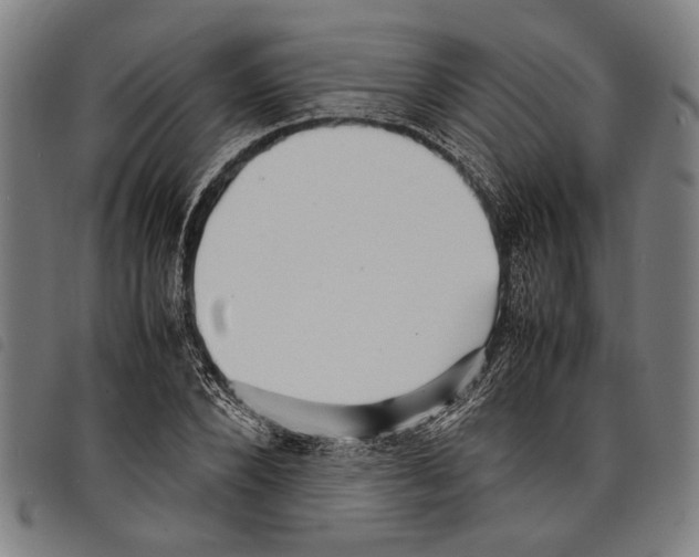 X0000097780880200804041212