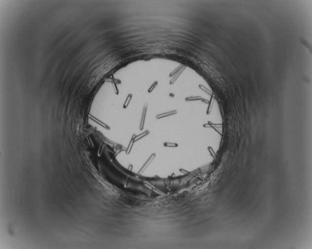 X0000097780881200804041212