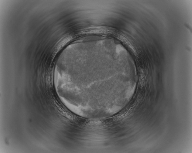 X0000097780882200804041212