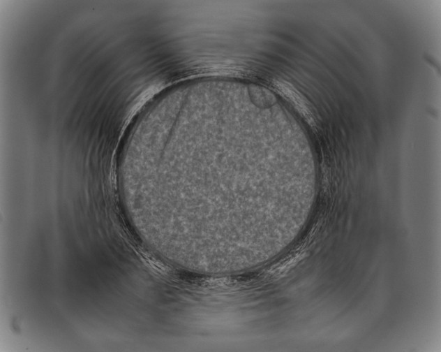 X0000097780883200804041212