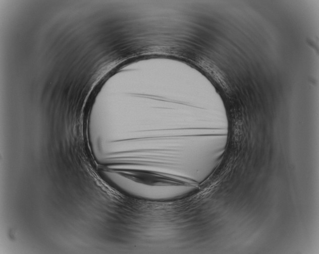 X0000097780884200804041211