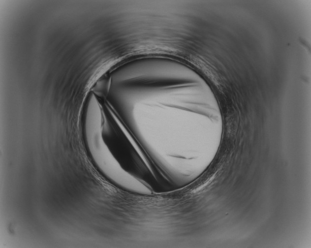 X0000097780885200804041211