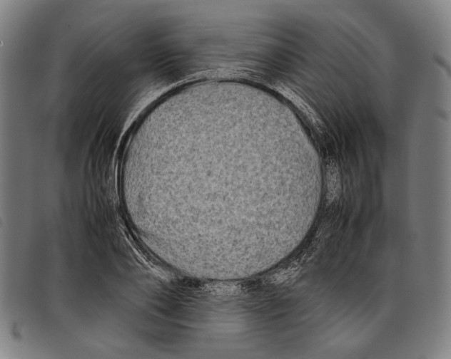 X0000097780886200804041211