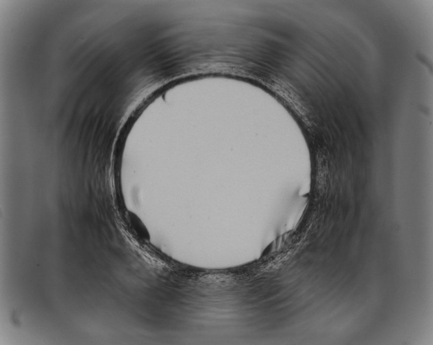 X0000097780888200804041211