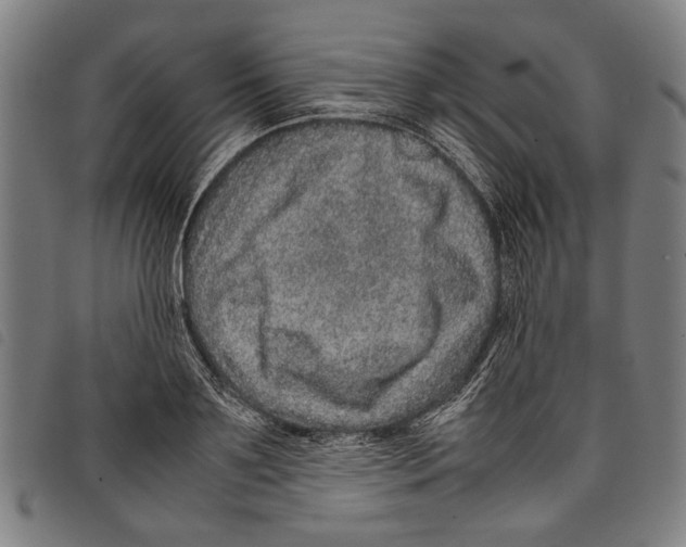 X0000097780891200804041211