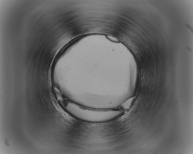 X0000097780892200804041211