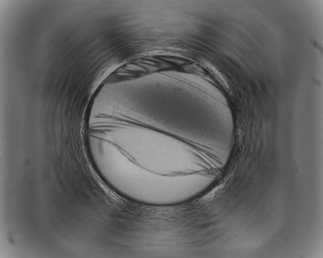 X0000097780893200804041211