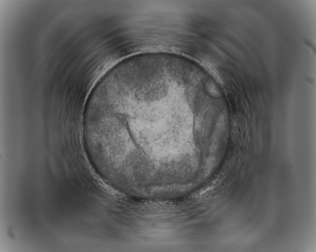 X0000097780895200804041211