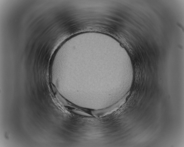 X0000097780896200804041211