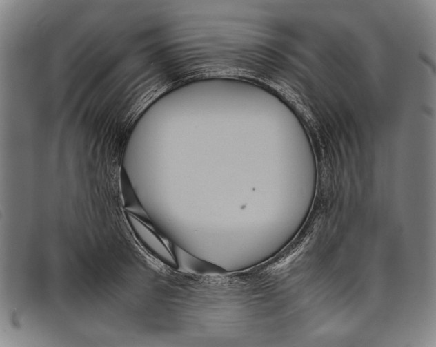 X0000097780897200804041211