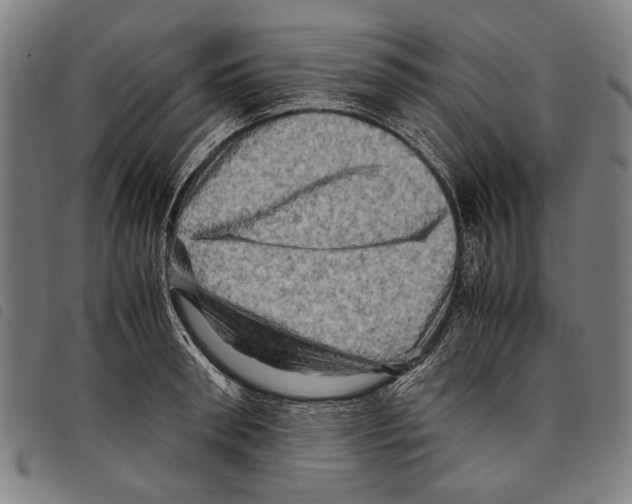 X0000097780898200804041211