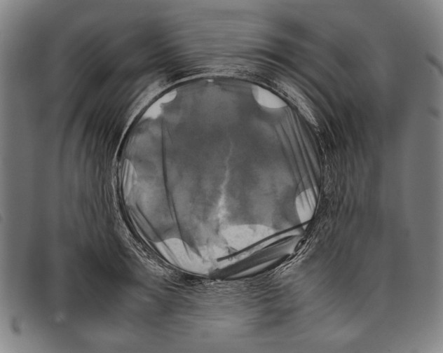 X0000097780899200804041211