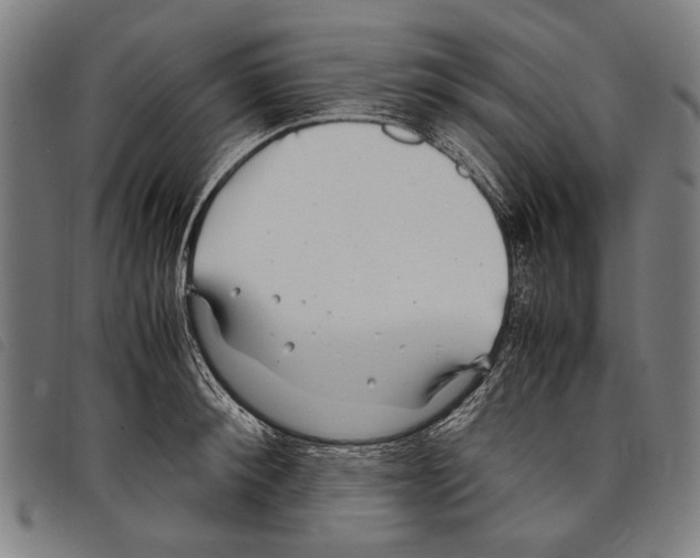 X0000097780900200804041211