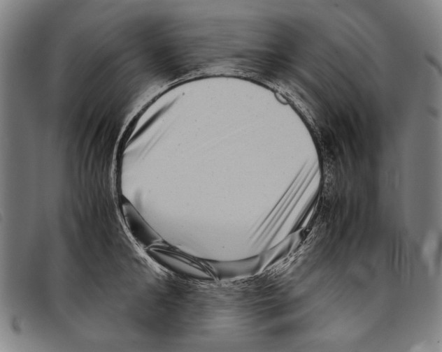 X0000097780902200804041211