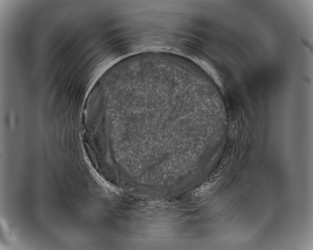 X0000097780903200804041211